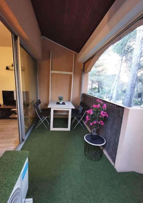 Charmant Studio 4 Personnes Sanary-sur-Mer Dış mekan fotoğraf